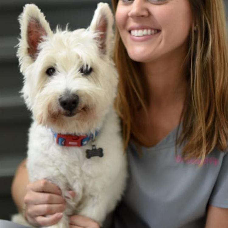 Animal Care Clinic El Cajon, CA